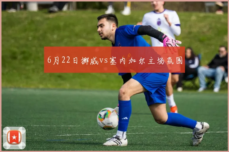 6月22日挪威vs塞内加尔主场氛围
