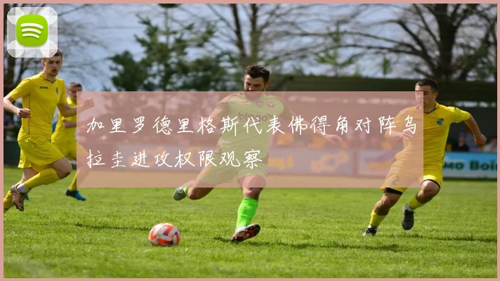 加里罗德里格斯代表佛得角对阵乌拉圭进攻权限观察